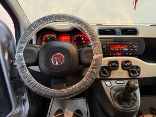 FIAT Panda usata 19