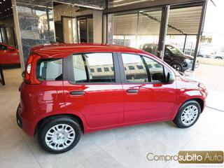 FIAT Panda usata, con Antifurto