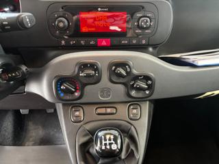 FIAT Panda usata, con Cronologia tagliandi
