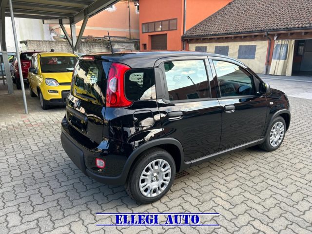 FIAT Panda usata, con Antifurto