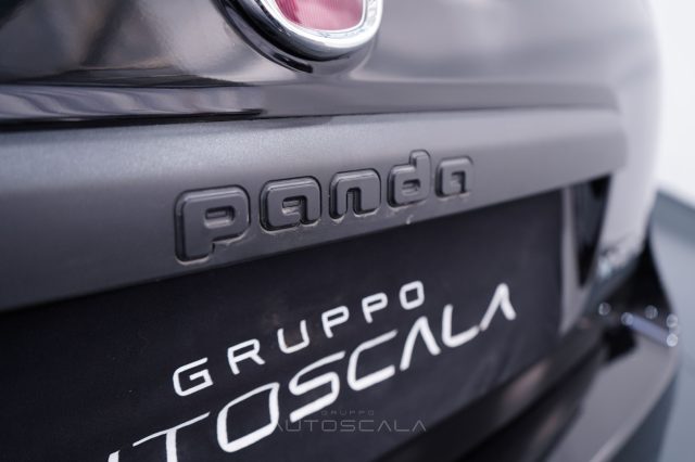 FIAT New Panda usata 26