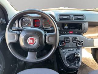 FIAT Panda usata 8