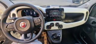 FIAT Panda usata, con Controllo vocale