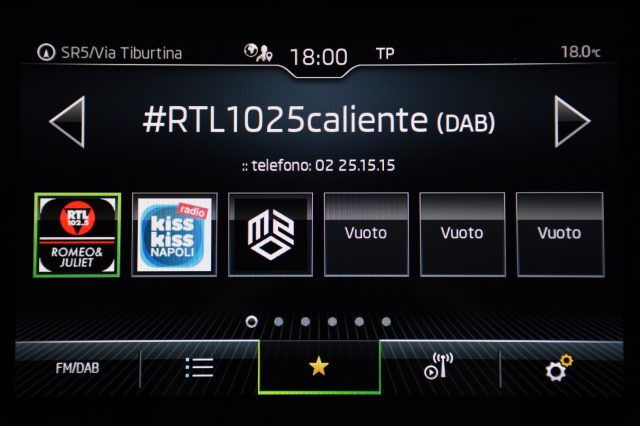SKODA Karoq usata, con Autoradio digitale
