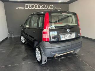 FIAT Panda usata, con Alzacristalli elettrici