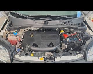 FIAT New Panda usata 25