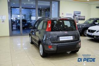 FIAT Panda usata, con Chiusura centralizzata
