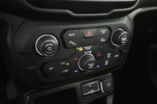 JEEP Renegade usata 9