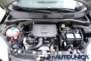 FIAT Panda usata 60