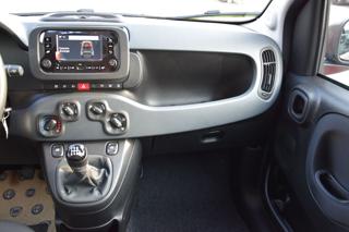 FIAT Panda usata, con Controllo trazione