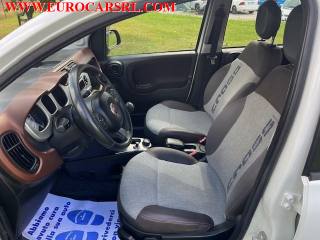 FIAT Panda Cross usata, con Fendinebbia