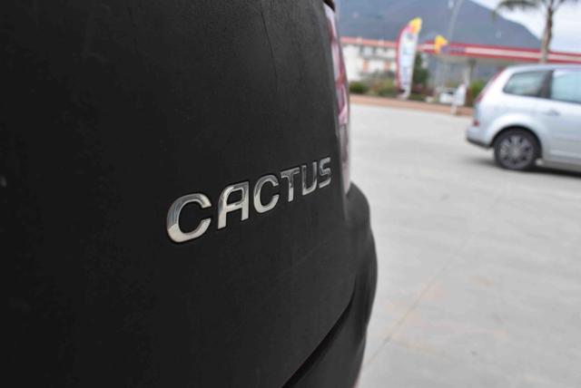 CITROEN C4 Cactus usata 19