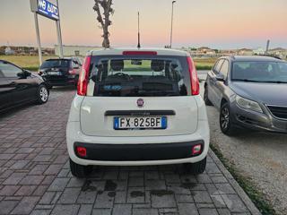 FIAT Panda usata, con Alzacristalli elettrici
