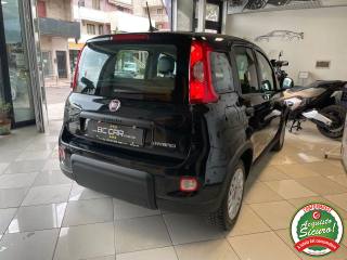 FIAT Panda usata, con Airbag testa