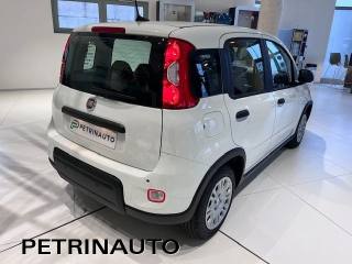 FIAT Panda usata, con Controllo trazione