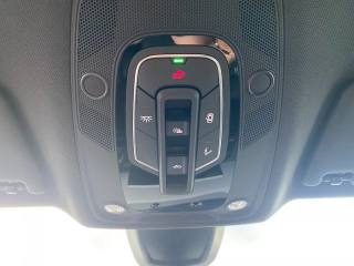 AUDI SQ5 usata, con Vivavoce