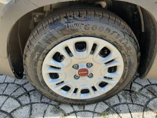 FIAT Panda usata, con Immobilizzatore elettronico
