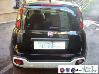 FIAT Panda Cross usata, con Fendinebbia