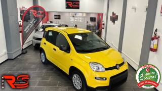 FIAT Panda usata, con Frenata d