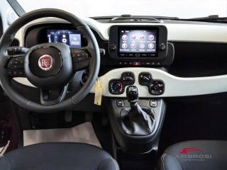 FIAT Panda usata 14
