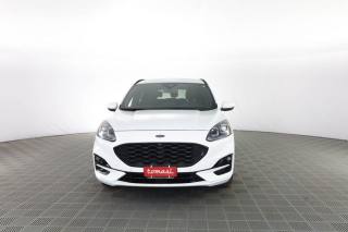 FORD Kuga Kuga 2.0 EcoBlue 120 CV aut. 2WD ST-Line