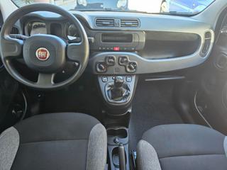 FIAT Panda usata, con Controllo trazione