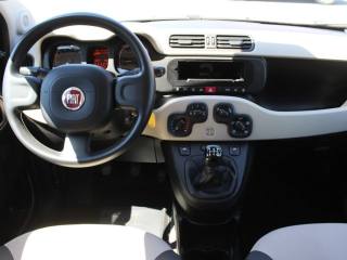 FIAT Panda usata, con Airbag testa