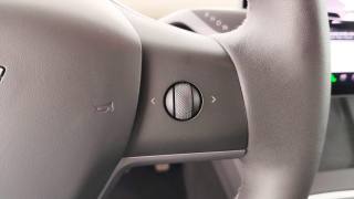 TESLA Model Y usata 54