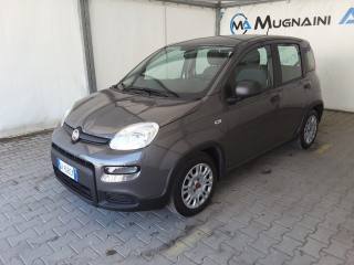 FIAT Panda usata, con Airbag Passeggero