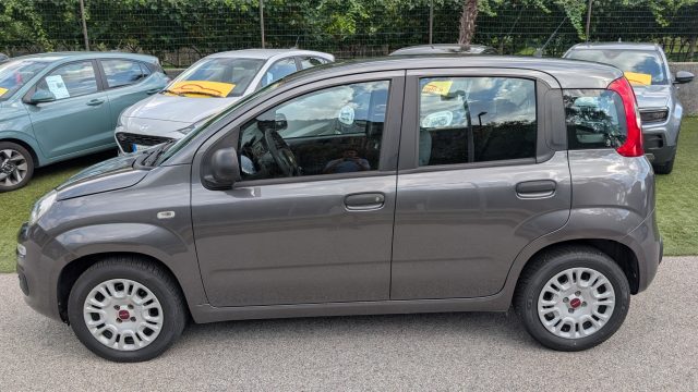 FIAT Panda usata, con Airbag Passeggero