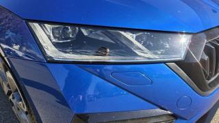 SKODA Octavia usata, con Autoradio