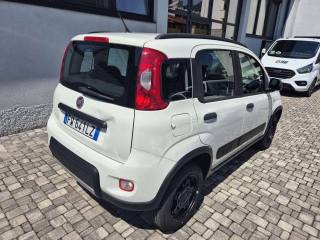 FIAT Panda usata, con Alzacristalli elettrici