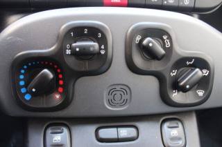 FIAT Panda usata 14