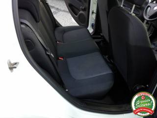 FIAT Punto usata 11