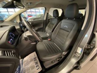 FORD EcoSport usata, con Cronologia tagliandi