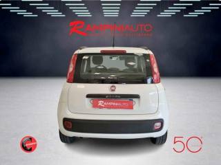 FIAT Panda usata 7