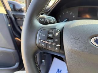 FORD Fiesta usata, con Cronologia tagliandi