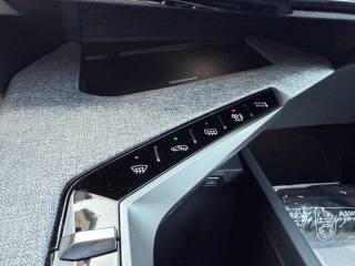 PEUGEOT 5008 usata, con Airbag testa