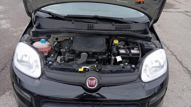 FIAT Panda usata 21