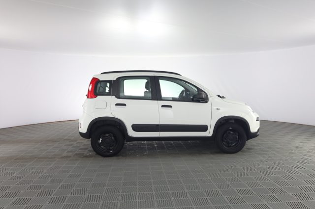 FIAT Panda usata 2