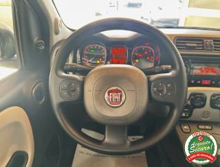 FIAT Panda usata, con Climatizzatore