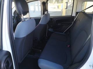 FIAT Panda usata, con USB