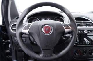 FIAT Punto usata 12