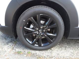 MAZDA CX-30 usata, con Alzacristalli elettrici