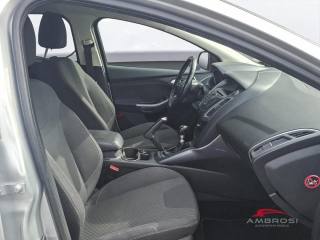 FORD Focus usata 11