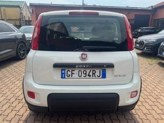 FIAT Panda usata, con Climatizzatore