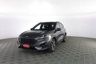 FORD Kuga Kuga 2.0 EcoBlue 120 CV aut. 2WD ST-Line