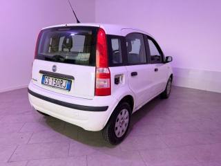 FIAT Panda usata 9