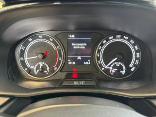 SKODA Fabia usata, con ESP