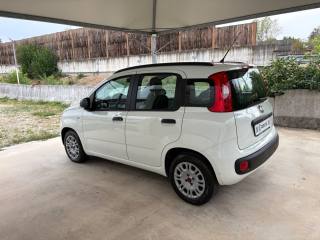 FIAT Panda usata, con Cerchi in lega